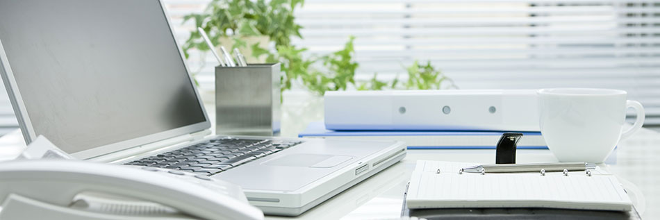 Especialidad en Tecnologías de la Información e-Business